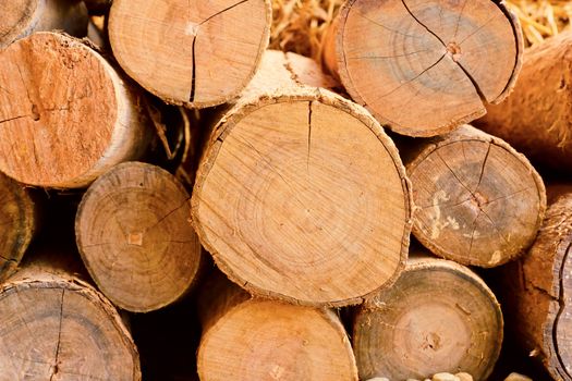 Stack of cut timber logs against.