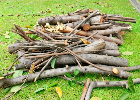 The Stack of cut timber logs against.