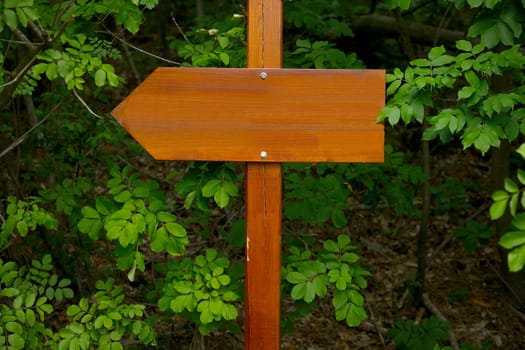 Direction sign in the woods