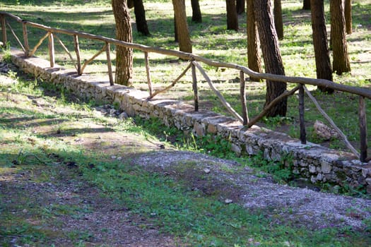 Fence beside the path in the park