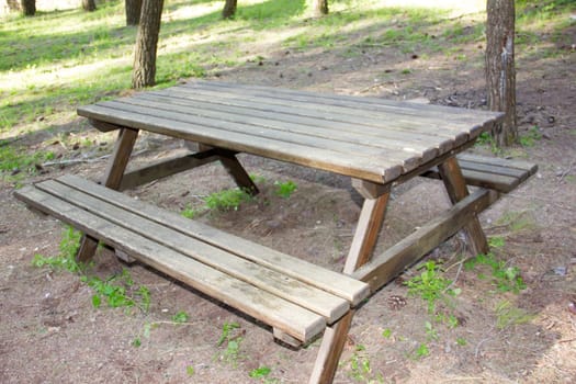 Picnic table in the picnic area of the park