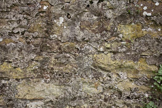 Old stone wall with lichens