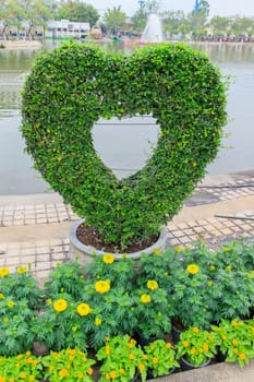 Decorate Tree plantations is a green heart.