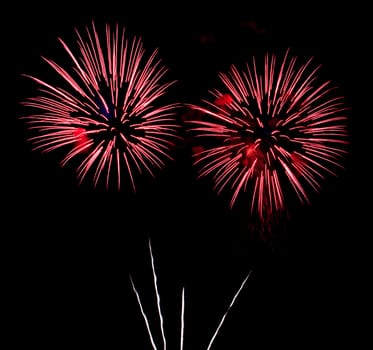 Exposure of multiple fireworks with a black sky.