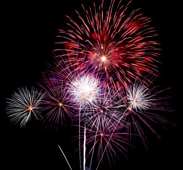 Exposure of multiple fireworks with a black sky.