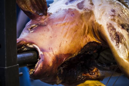 huge grilled pork fact, medieval fair in Spain