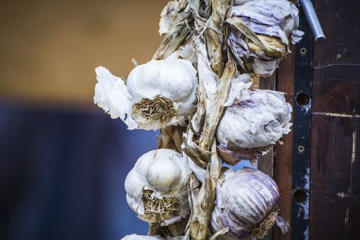 lot of garlic in a medieval fair, kitchen condiments