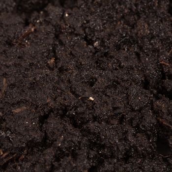 Garden beds of fertile soil close-up texture