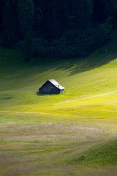 Green pasture in the Alps