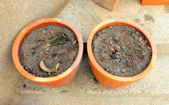 Pots with soil in it ready for planting.
