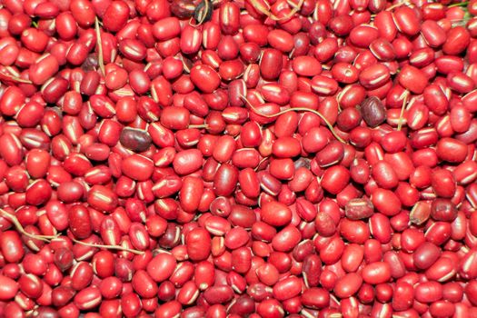 Red beans to make a patterned background.