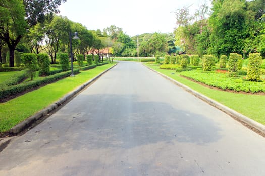 The road was empty and the garden around it.
