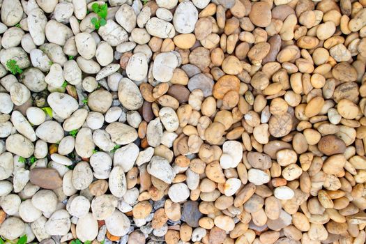 Texture background of white and brown rounded stone.