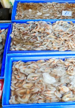 Shrimp put stacked in the market for sale.