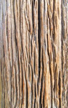 Texture background of ancient wooden wall, wooden wallpaper. 