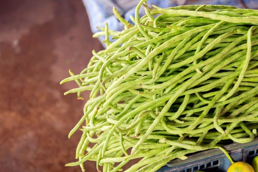 Yard Long Bean put stacked in the market for sale.