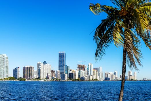 Miami Downtown skyline in daytime with Biscayne Bay.