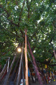 Phra That Sri Jom Thong , Series 1_8, Belief in Peepul Shore staff Before Sunset,Chiang Mai province, Thailand