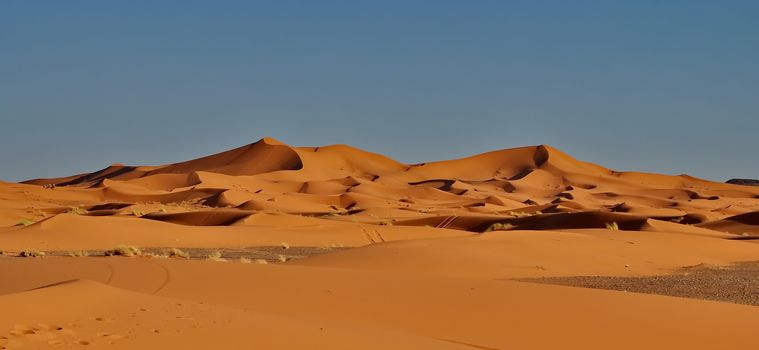 Merzouga desert in Morocco