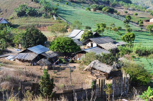 Country Village and Farm on Hillside, Maehongson province, Thailand.