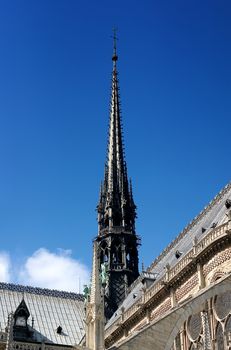 notre dame de paris