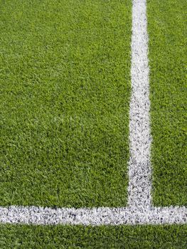 Limit lines of a sports grass field