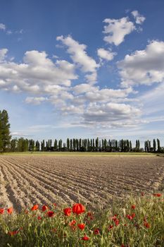 Plowed field and cloudscape on the plains of Castilla y Leon. Valladolid, Spain.