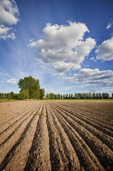 Plowed field and cloudscape on the plains of Castilla y Leon. Valladolid, Spain.