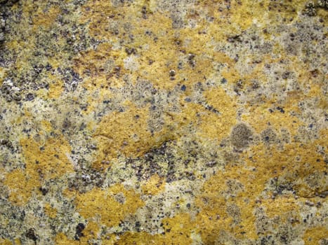 Beach Rock Background with yellow colored markings