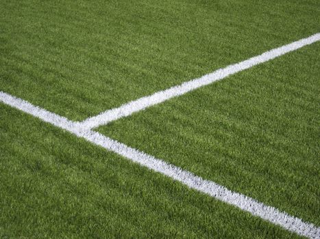 Limit lines of a sports grass field