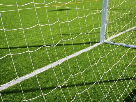 Goal line of a soccer grass field
