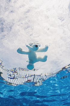 a dog shape plus toy floating at the surface of a pool