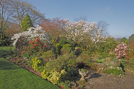 A private garden in Staffordshire England displaying Spring blossom in April.