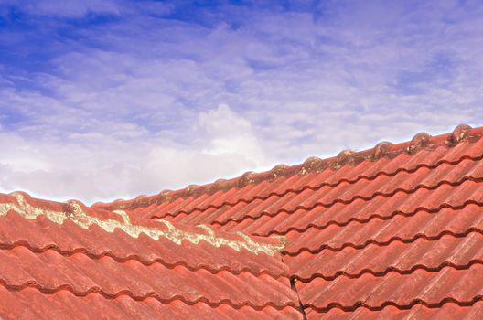 The Tiled Roof with Fluffy Cloud Blue Sky 107