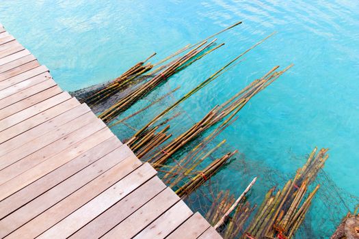 The bamboo floating in the blue sea.