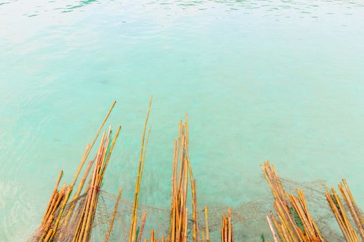 The bamboo floating in the blue sea.