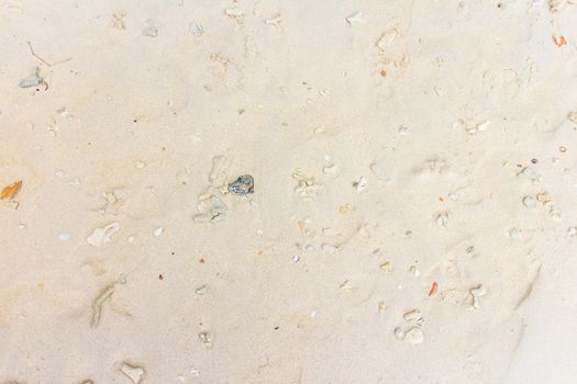 Beautiful sea summer or spring abstract background.