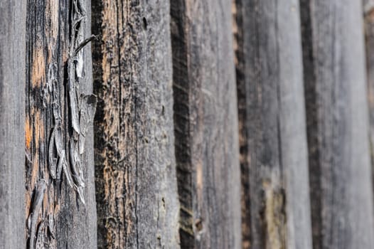 cracked aged weathered wooden boards, selective focus