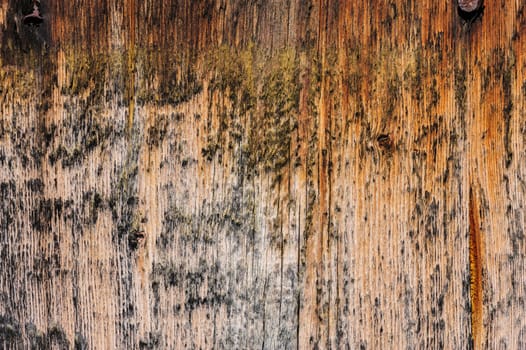 grunge rusty aged wooden board background
