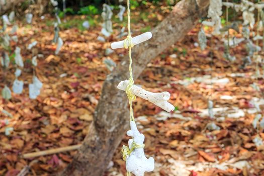 Small pieces of coral were hung on the branches.