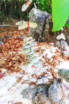 Small pieces of coral were hung on the branches.