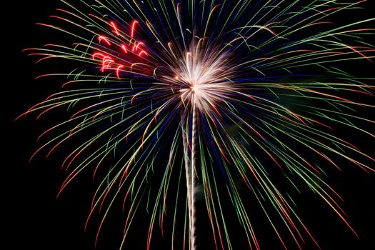 Exposure of multiple fireworks with a black sky.