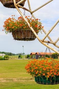 Flower pot is on the ferris wheel.