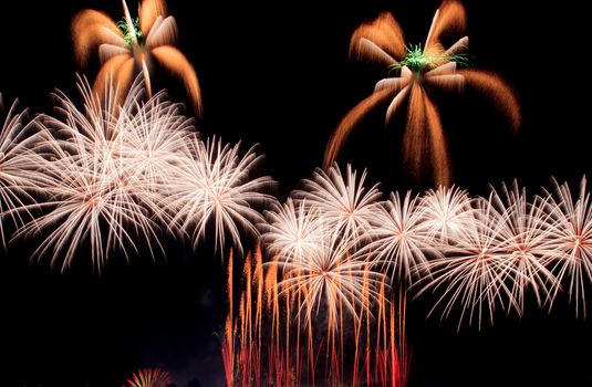 Exposure of multiple fireworks with a black sky.