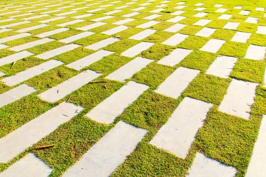 Grass between bricks arranged in a pattern.
