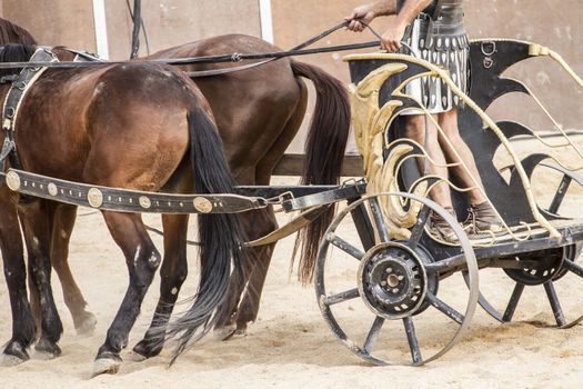 Galop, Roman chariots in the circus arena, fighting warriors and horses