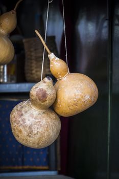 Ancient water canteens made ������with pumpkins