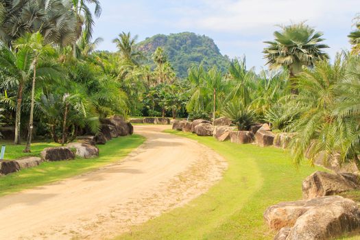 Path with many trees surrounding the garden is beautiful.