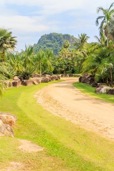 Path with many trees surrounding the garden is beautiful.