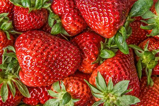 Pile of beautiful strawberries on a pile background